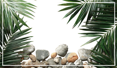 Tropical frame with stones. Lush palm fronds frame a collection of various-sized stones, creating a natural border against a black background