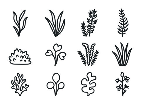 Aquatic Plant Icons. Outline icon set of submerged aquatic vegetation: pondweed, eelgrass, hornwort, coontail,