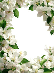 Floral frame with empty center