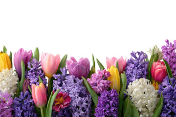 Spring blossoms border.  Colorful tulips, hyacinths, and other flowers in a vibrant display against a black background
