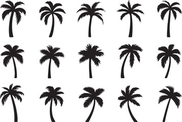 palm tree silhouettes. Tree and root silhouette isolated on white background.