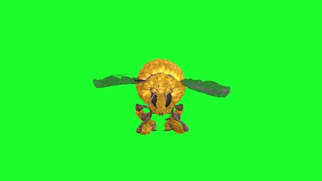 bumblebee Fly Idle Fly Idle