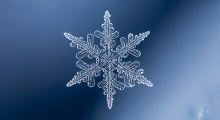Macro photograph of a single snowflake with intricate crystalline structure