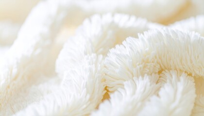 Cream Plush Boucle Fabric Texture Swirls