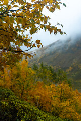 autumn in the mountains