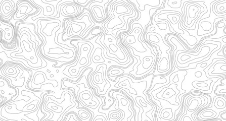 Topographic contour map. similarcartography illustration.  Topography and geography map grid abstract backdrop. Business concept. Fish Fillet Texture.