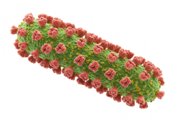3d rendering of a rodshaped virus with spikes isolated on transparent background