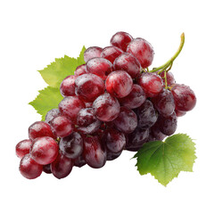 Fototapeta premium Close-up of a bunch of red grapes with leaves (1)
