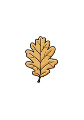 A stylized, light brownish-tan oak leaf against a black background.  The leaf's veins and edges are detailed, giving it a slightly textured appearance.  