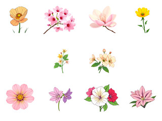 Explore this Vector Set of 10 Different Beautiful Flowers, Showcasing a Variety of Botanical Designs and a Stylish, Modern Feel. For various creations.
