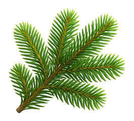 Fototapeta premium Fir branch with dense green needles