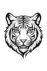 Obraz premium White tiger with black stripes