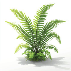 Lush Green Fern Plant with Detailed Fronds and Natural Light Shadow
