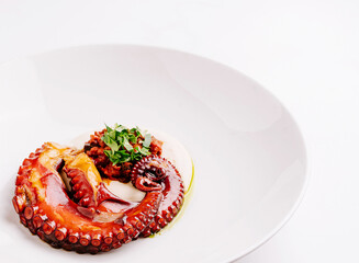 Grilled octopus served on plate with sauce and herbs
