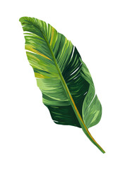 Obraz premium Vibrant, detailed illustration of a tropical leaf. A single, large, tropical leaf, with bold veining and a bright, green hue. Yellowish highlights accentuate the leaf's structure. 