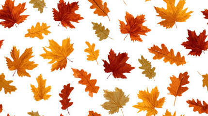 Obraz premium Seamless pattern of colorful autumn maple and oak leaves scattered on a white background