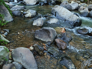 river flowing in countryside