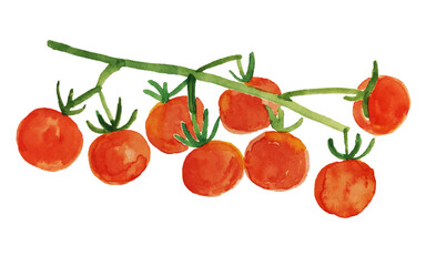 プチトマト　水彩画