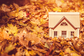 The symbol of the house stands among the fallen autumn leaves
