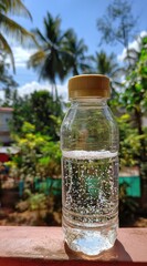 Sparkling water in a clear bottle with a yellow cap on a red surface, tropical background