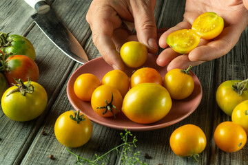 Hands carefully sort through freshly harvested yellow tomatoes on a wooden table. Some tomatoes are cut in half, showcasing their ripe, juicy interior, perfect for cooking