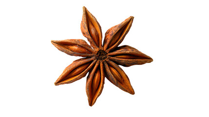 single star anise spice top view isolated on white