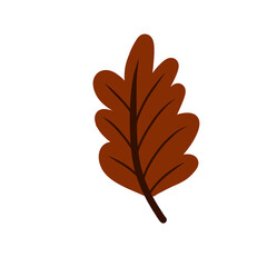 oak leaf isolated on white