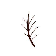 tree branch isolated