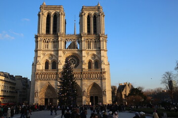 Tourists and Christmas tree outside Notre Dame de Paris cathedral.