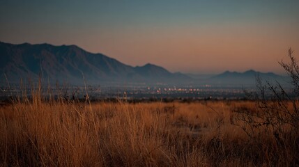 Obraz premium Golden grass foregrounds misty hills and a cityscape under a dusky, muted sky