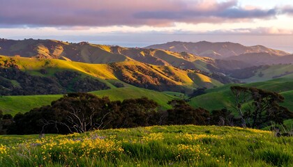 Sunset over rolling hills and wildflowers