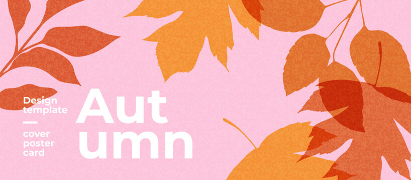 Fall season horizontal background with bright abstract autumn leaves. Autumn modern art minimalist style design template for sales, horizontal poster, header, cover, social media, fashion ads, decor.