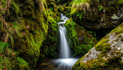 Fototapeta premium Long Exposure Lush Mossy Waterfall Flowing Through Rocks and Greenery