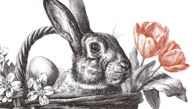 HD realistic hand-drawn style Easter rabbit with egg basket and tulips isolated on white