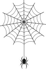 Fototapeta premium Spiderweb with spider halloween decoration with spiderweb and hanging spider spooky cobweb with insect for halloween party