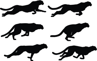 Cheetah silhouette set, dynamic running poses in stride sequence, wild animal vector for speed, anatomy, motion, and design reference © Sopon Creatives