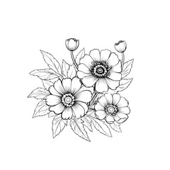A detailed line drawing of a bouquet of anemones with leaves.