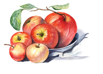 Red apples isolated watercolor