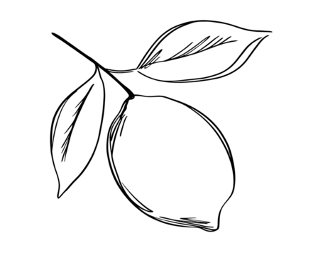 Abstract graphic of a stylized fruit, possibly a peach or plum, outlined by fine, radiating lines;  a scattered, glittery effect