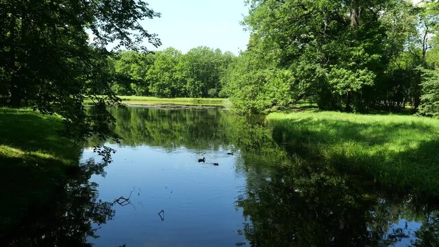 Picturesque summer landscape with a pond in the Alexander Park in Tsarskoye Selo, Pushkin, Russia