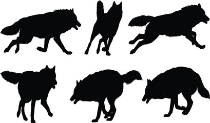Wolf silhouette set, dynamic and alert poses, wild animal vector for nature, anatomy, motion, and design reference illustration