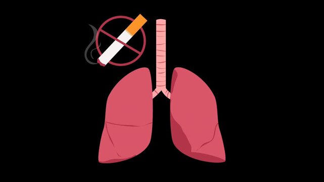 No smoking. Lung disease illustration animation. Respiratory disease