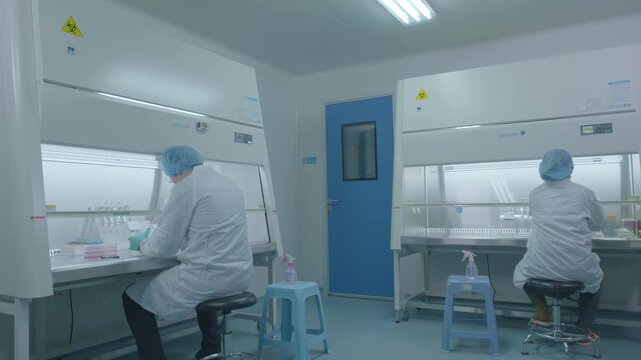 A scientist in a sterile laboratory environment, focused on experimental operations within a laminar flow hood.