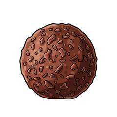 Illustration of a round chocolate truffle with a textured surface, perfect for dessert.