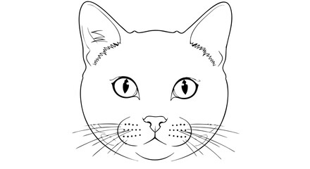 Vector Line Art SVG Illustration of Cat Head in Minimalist Style with Monochrome Black and White Colors for Digital and Web Design