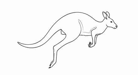 Vector Minimalist Line Art SVG Illustration of Kangaroo in Modern Flat Style with Monochrome Black and White Colors for Digital and Web Design Use