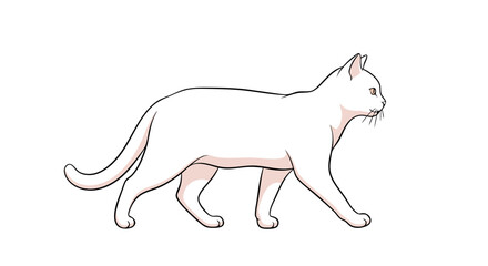 Minimalist Vector SVG Illustration of White Cat with Elegant Line Art Style for Digital Design