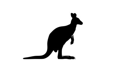 Vector Silhouette Animal SVG Icon of Kangaroo in Minimalist Style with Black Color for Web and Digital Use
