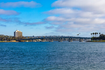 Obraz premium Bay bridge with the building, palms and Bird Flying by 