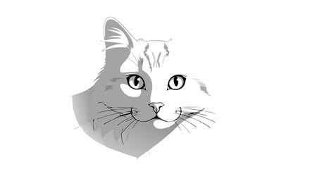Vector Minimalist Line Art SVG Illustration of Cat Head with Detailed Facial Features in Monochrome Style for Digital and Print Use